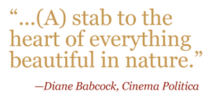 Quote: "...(A) stab to the heart of everything beautiful in nature." Diane Babcock, Cinema Politica