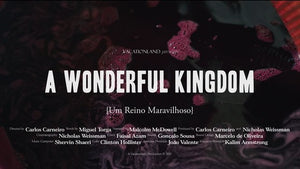 A Wonderful Kingdom
