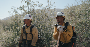 Firebreak