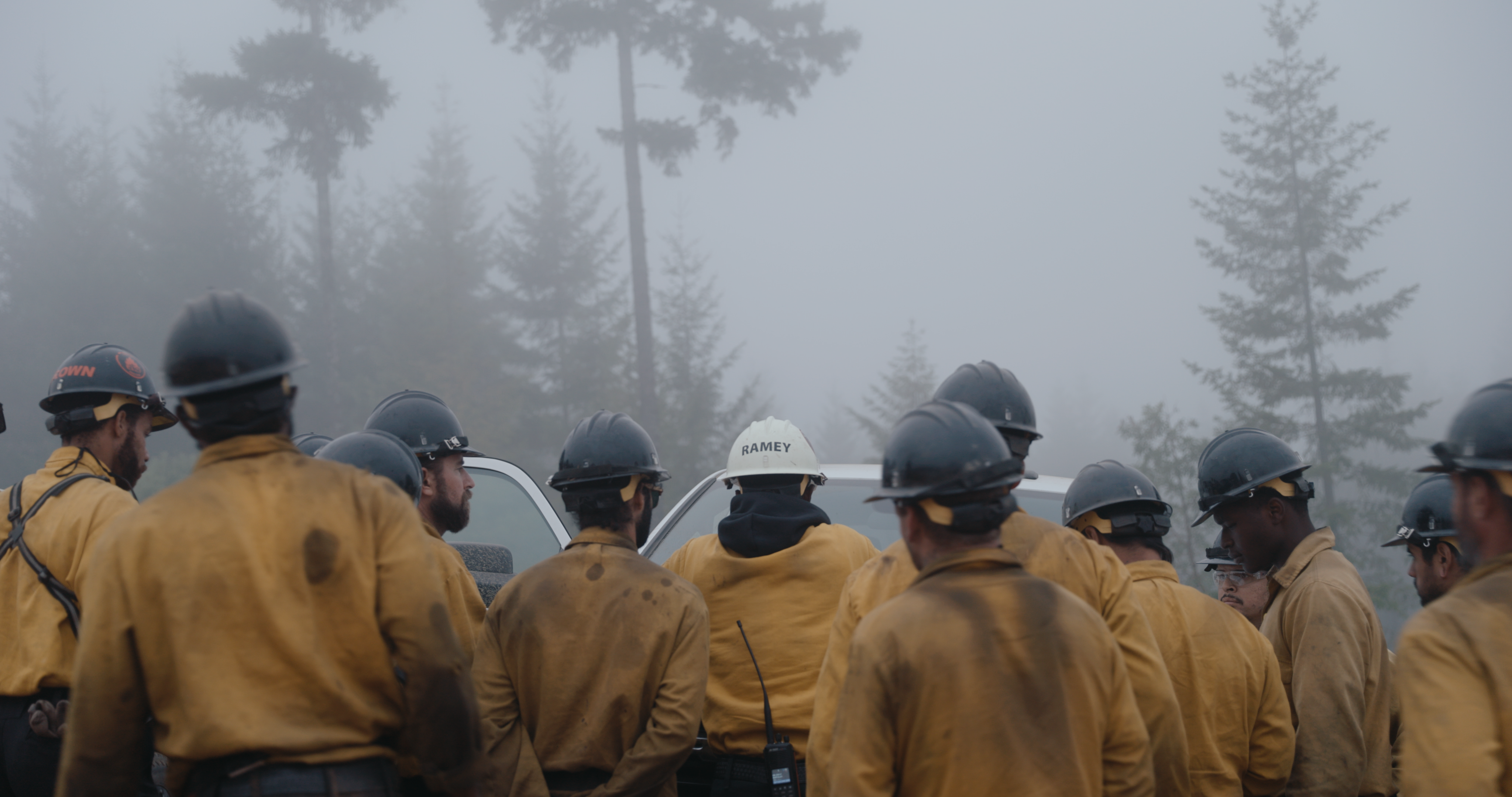 Firebreak
