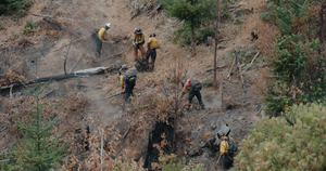 Firebreak