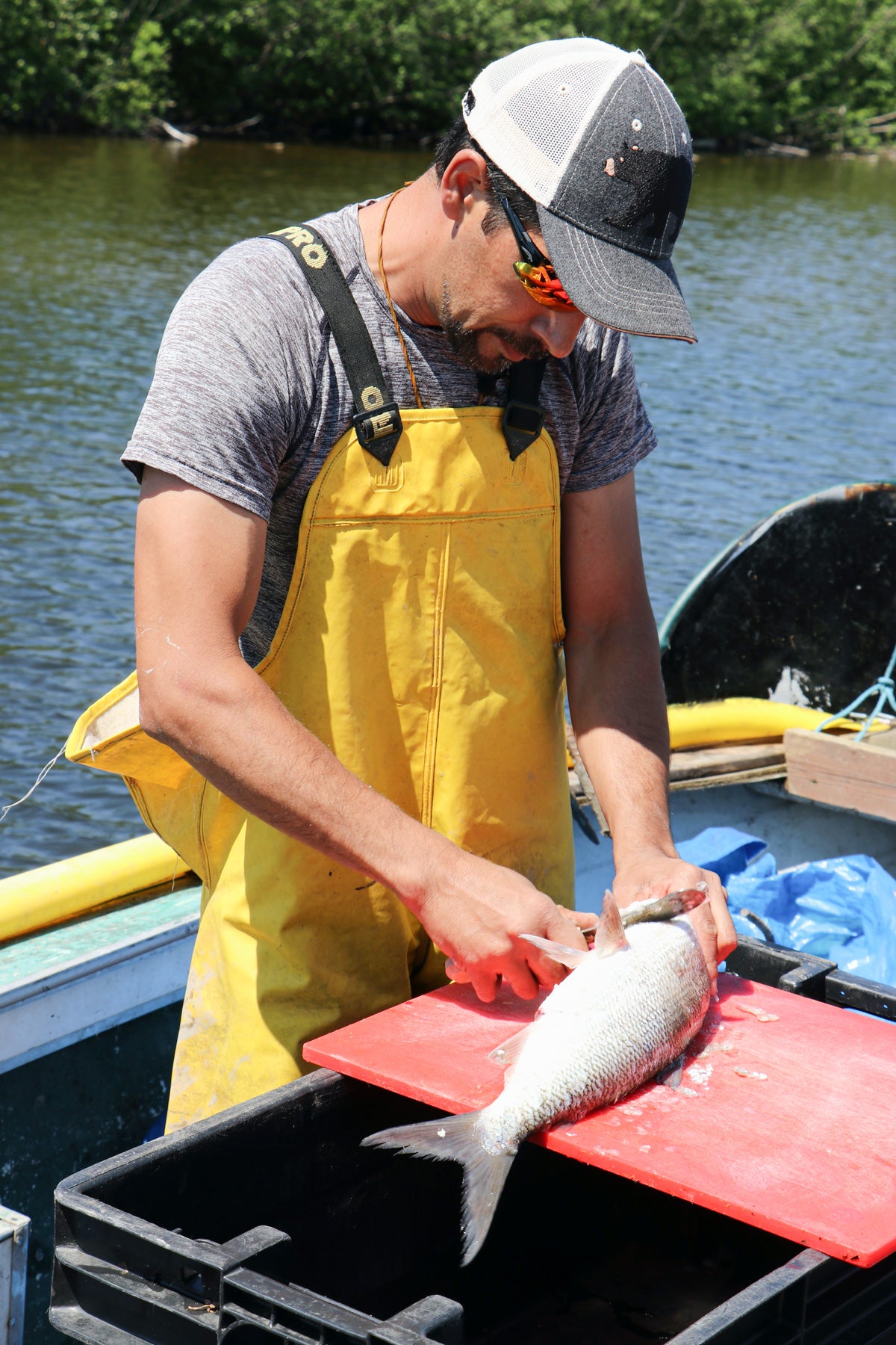 Lake Superior Our Helper: Stories from Batchewanaung Anishinabek Fisheries