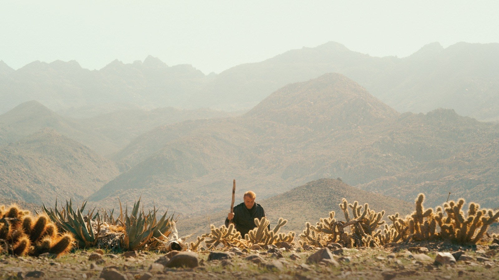Desert Angel
