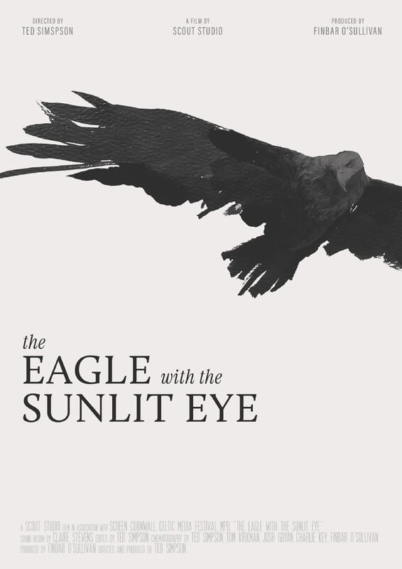 The Eagle With the Sunlit Eye
