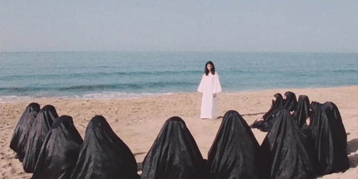 Leila and the Wolves