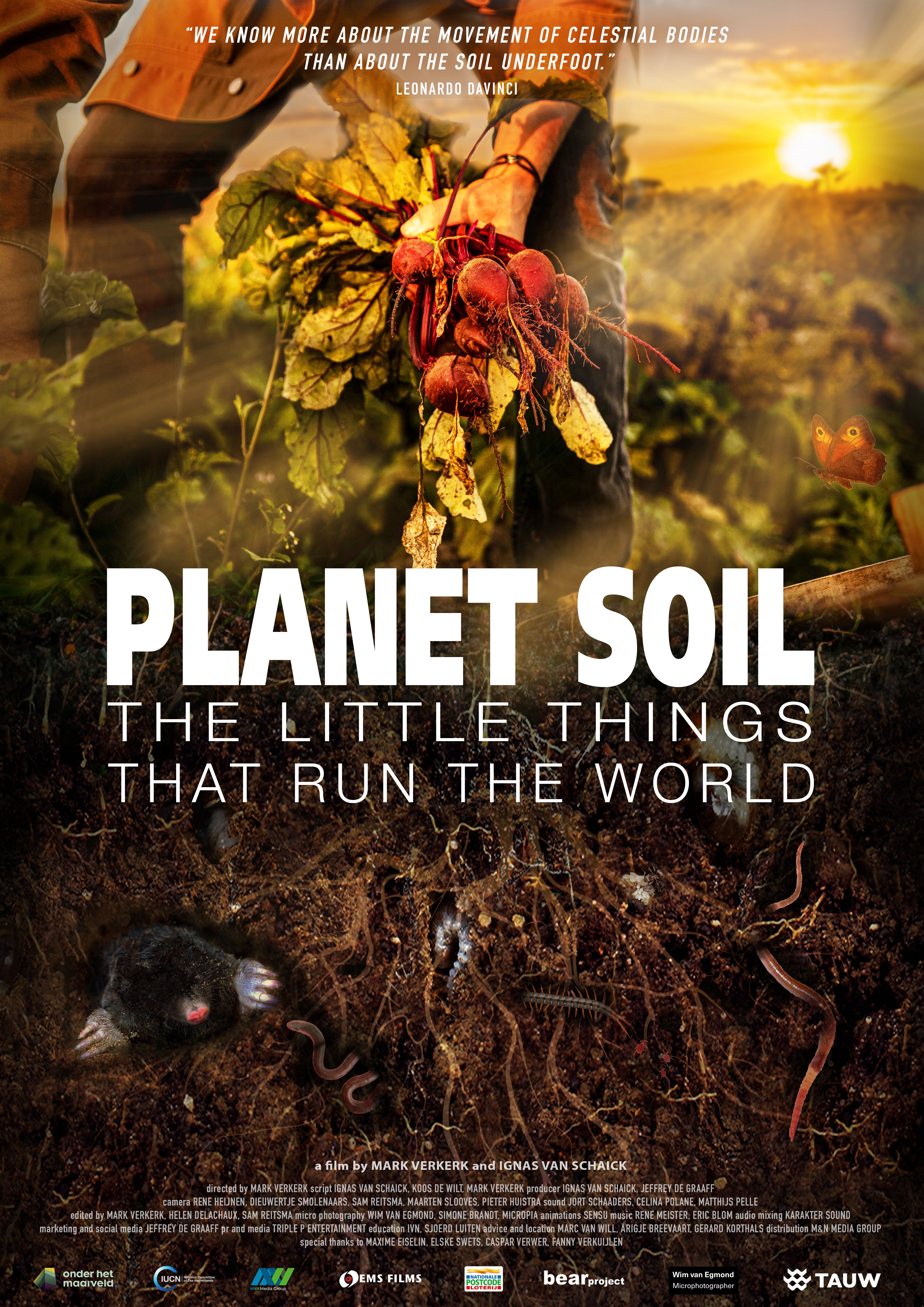 Planet Soil: The Power of the Underground