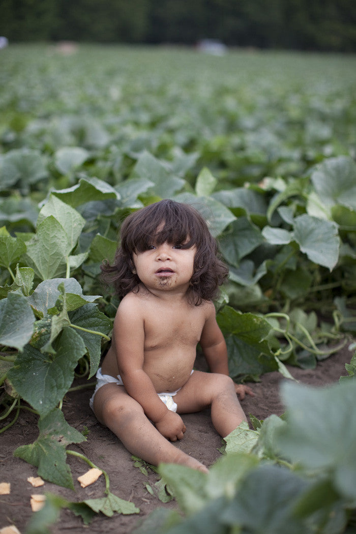 Scene from documentary "The Harvest / La Cosecha