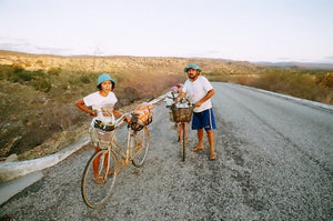 Ciclovida Lifecycle (home-use)