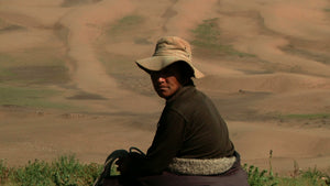Drokpa: Nomads of Tibet