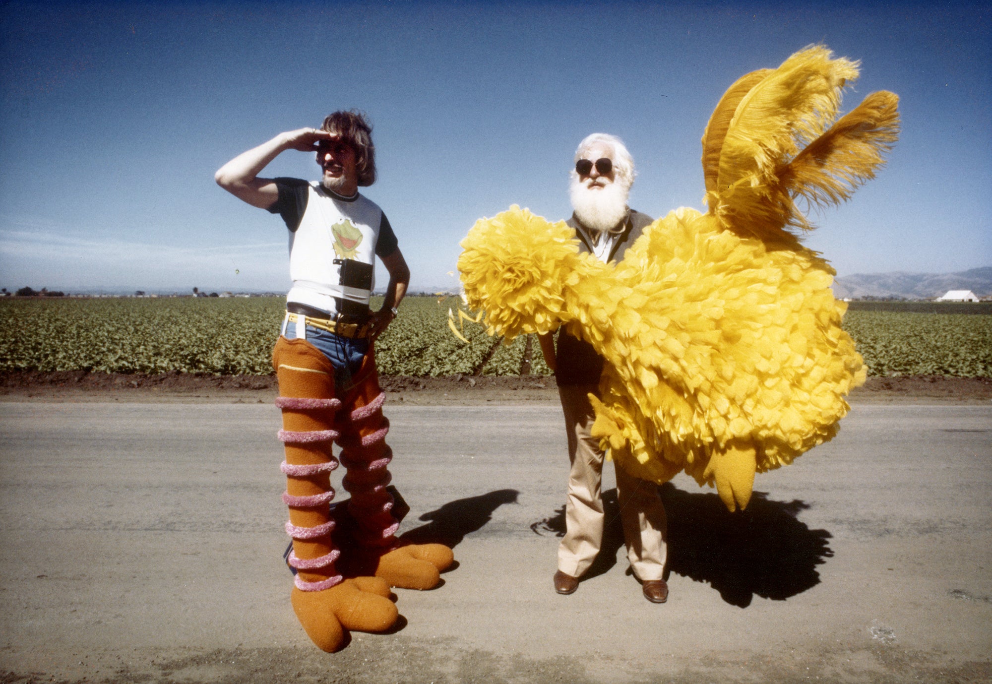 I Am Big Bird: The Caroll Spinney Story