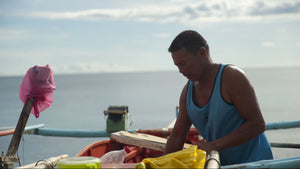 Last Days at Sea