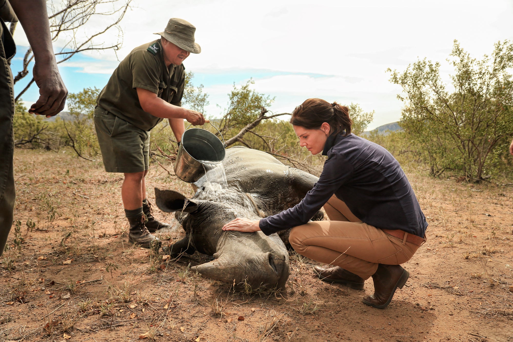 STROOP: Journey Into The Rhino Horn War