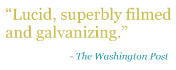 Quote: "Lucid,superbly filmed and galvanizing." -The Washington Post 