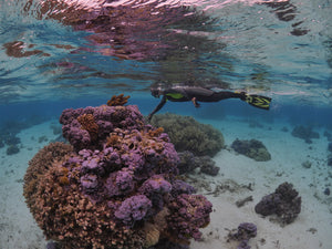 Saving Atlantis