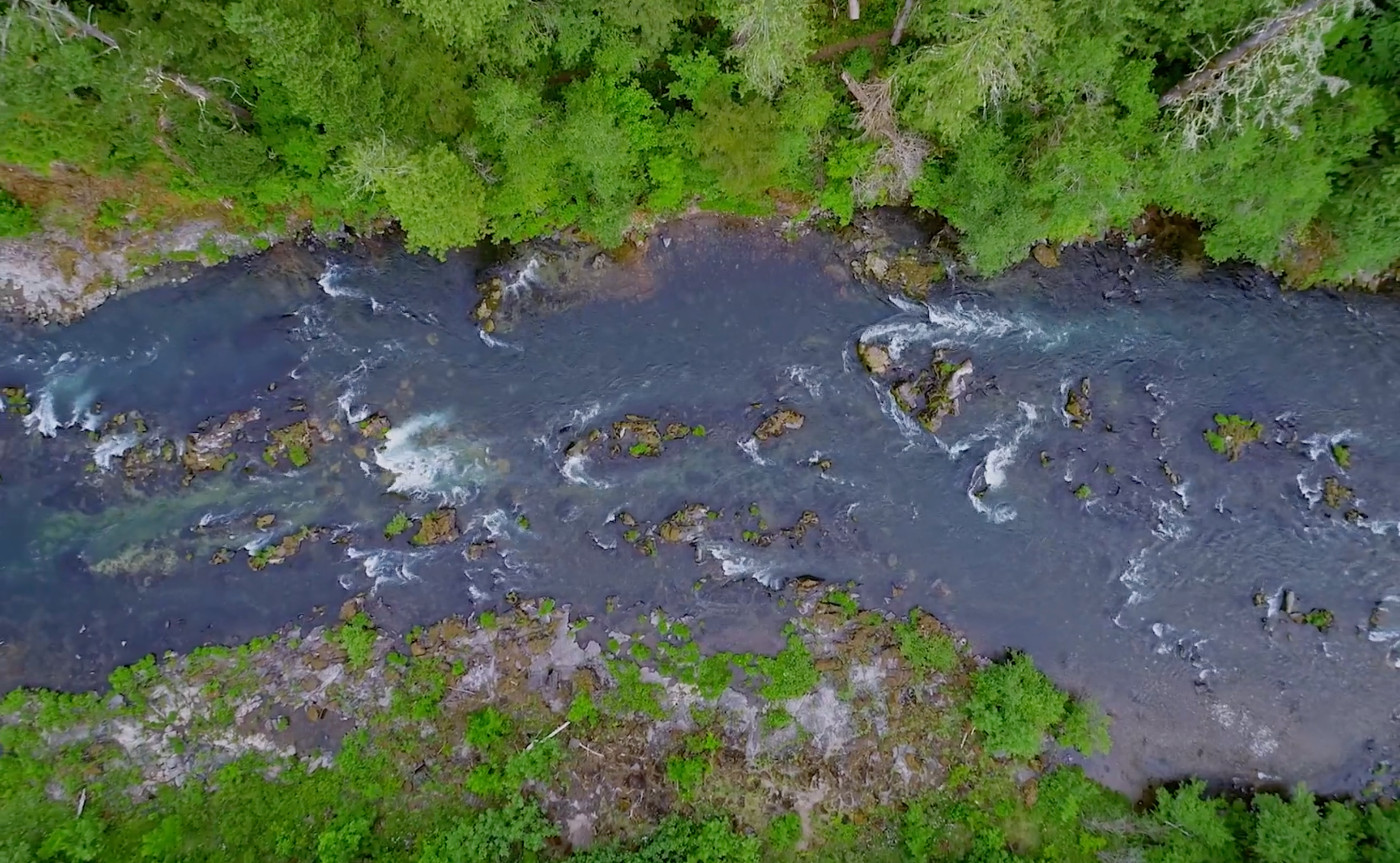 Run Wild Run Free: 50 Years of Wild and Scenic Rivers