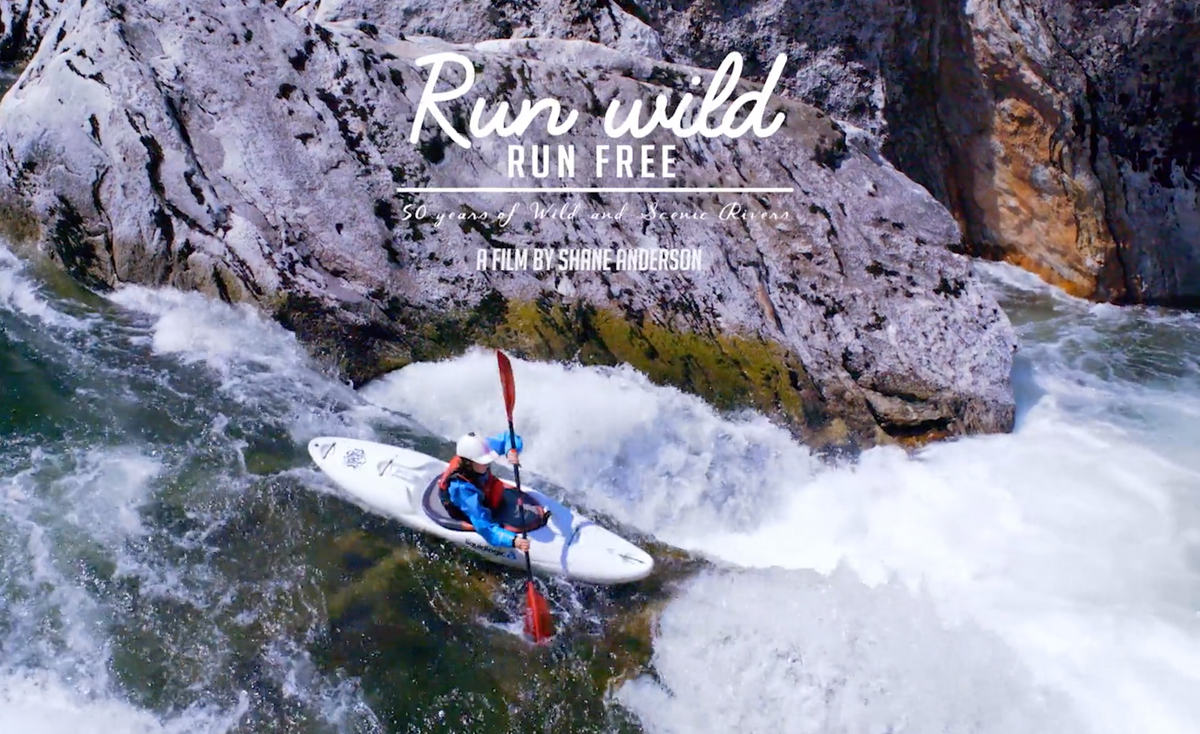 Run Wild Run Free – Collective Eye Films