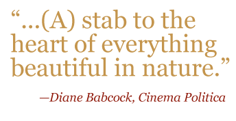 Quote: "...(A) stab to the heart of everything beautiful in nature." Diane Babcock, Cinema Politica