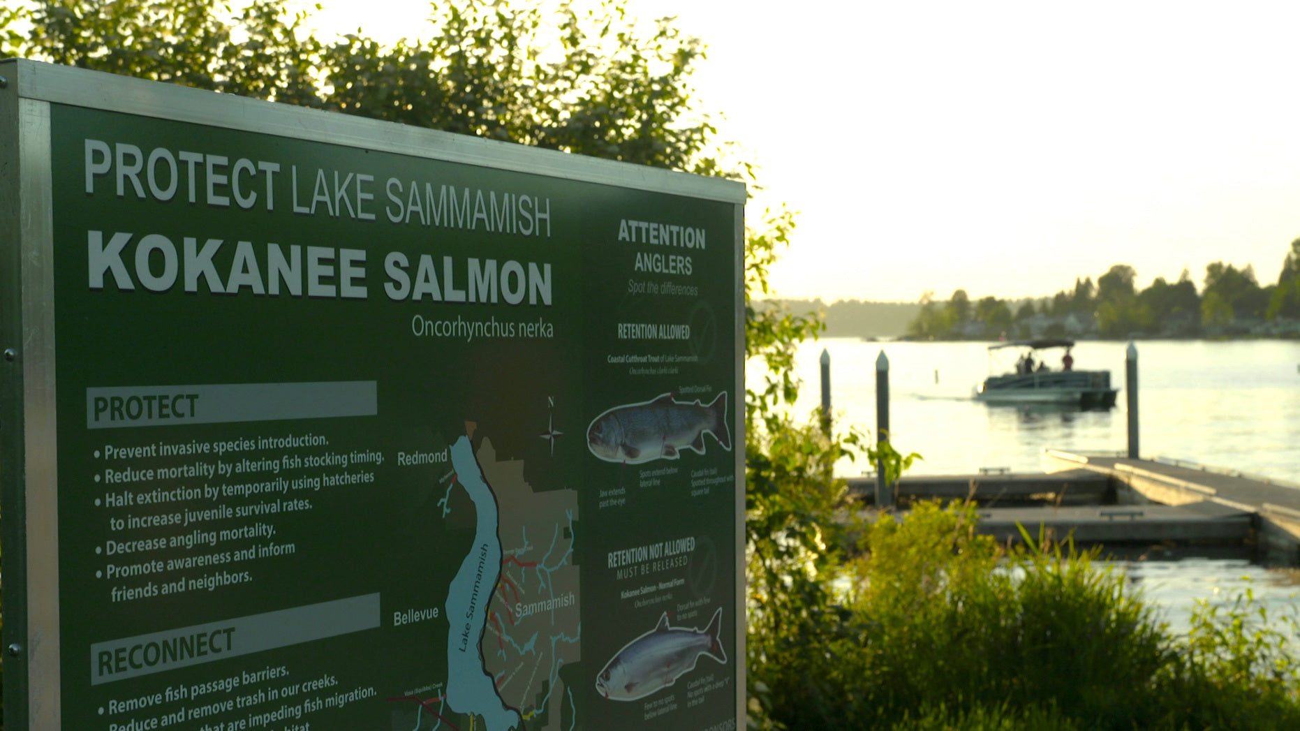 Spawning Grounds: Saving the Little Red Fish