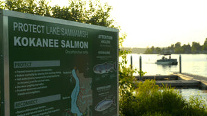 Spawning Grounds: Saving the Little Red Fish