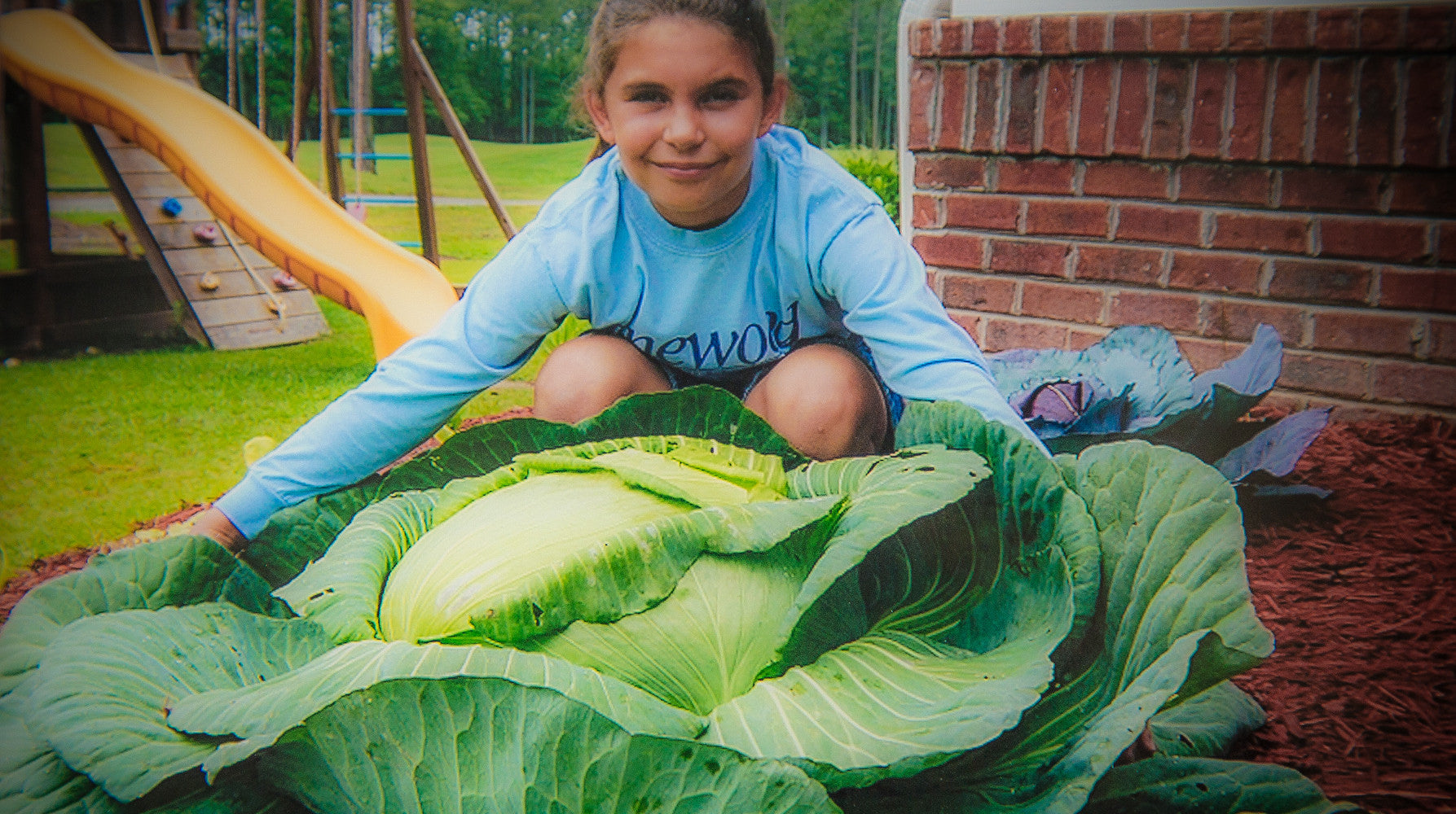Katie Stagliano with her 40lb cabbage crop