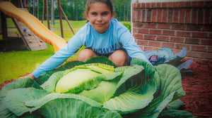 Katie Stagliano with her 40lb cabbage crop