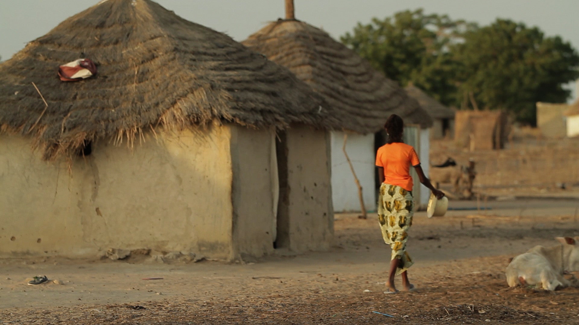 Scene from documentary "Tall as the Baobab Tree"