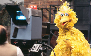 I Am Big Bird: The Caroll Spinney Story