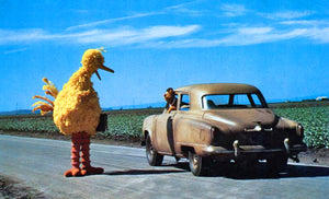 I Am Big Bird: The Caroll Spinney Story