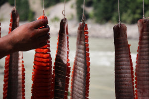 Drying salmon from documentary "Salmon Confidential"