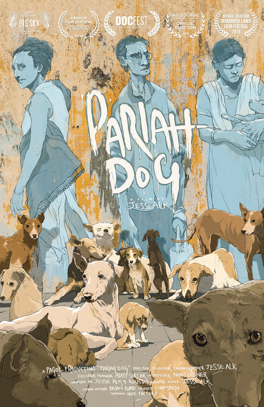 Pariah Dog