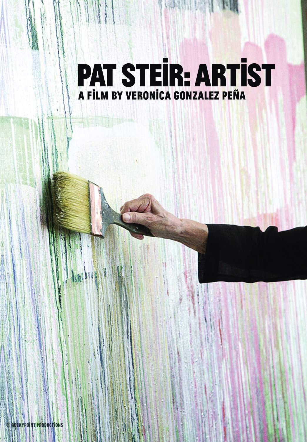 Pat Steir: Artist