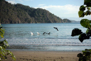 Scene from documentary "Field Biologist"