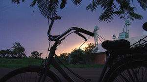 Ciclovida Lifecycle (home-use)