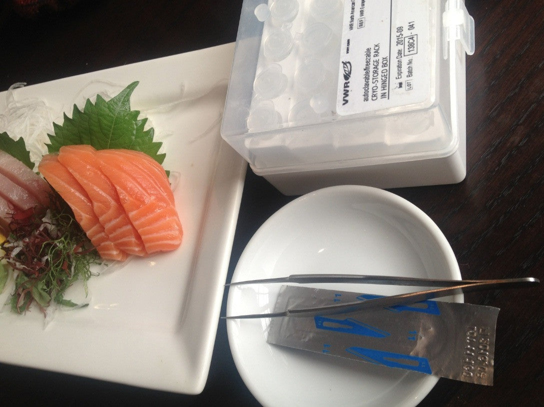 Testing farmed salmon sashimi from documentary "Salmon Confidential"