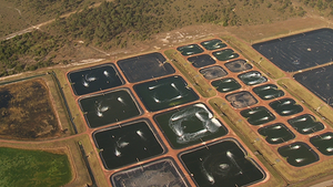 Shrimp farms, from documentary "Raising Shrimp"